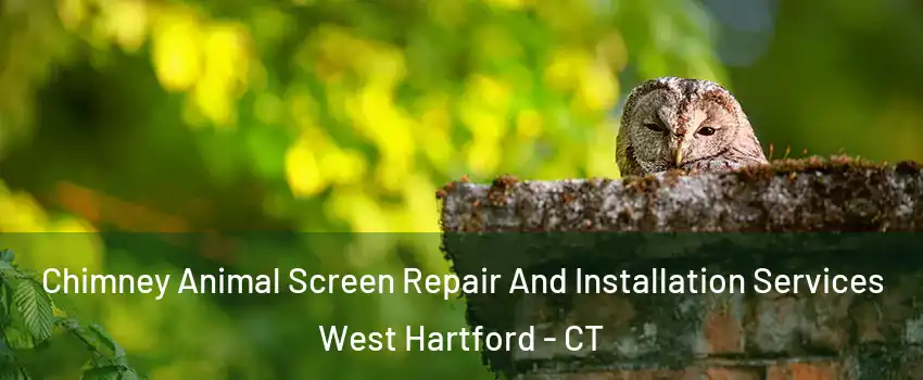  Chimney Animal Screen Repair And Installation Services West Hartford - CT