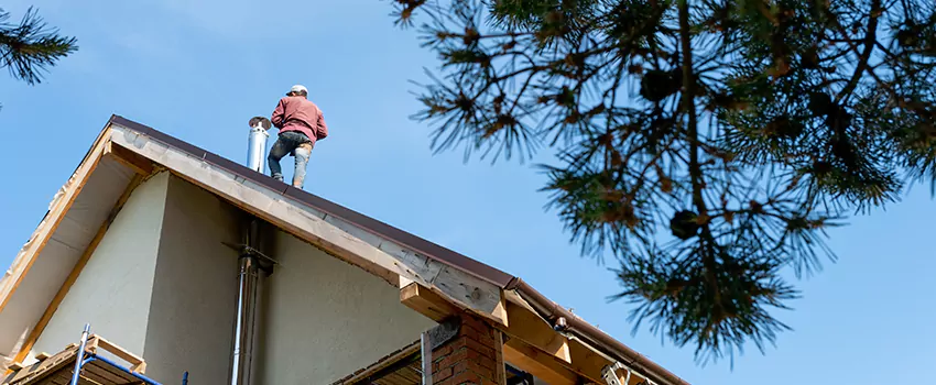 Birds Removal Contractors from Chimney in West Hartford, CT
