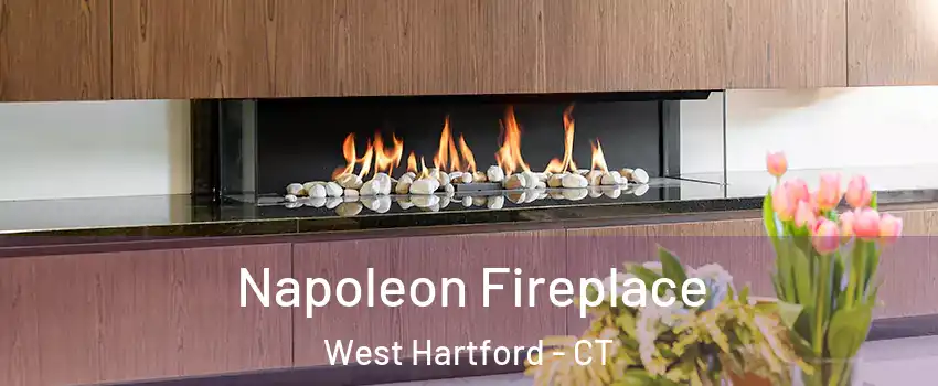  Napoleon Fireplace West Hartford - CT